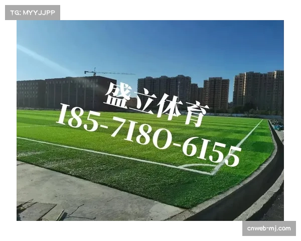 柏林赫塔宣布奥林匹克体育场草皮将进行全面翻新 柏林赫塔宣布奥林匹克体育场草皮将进行全面翻新